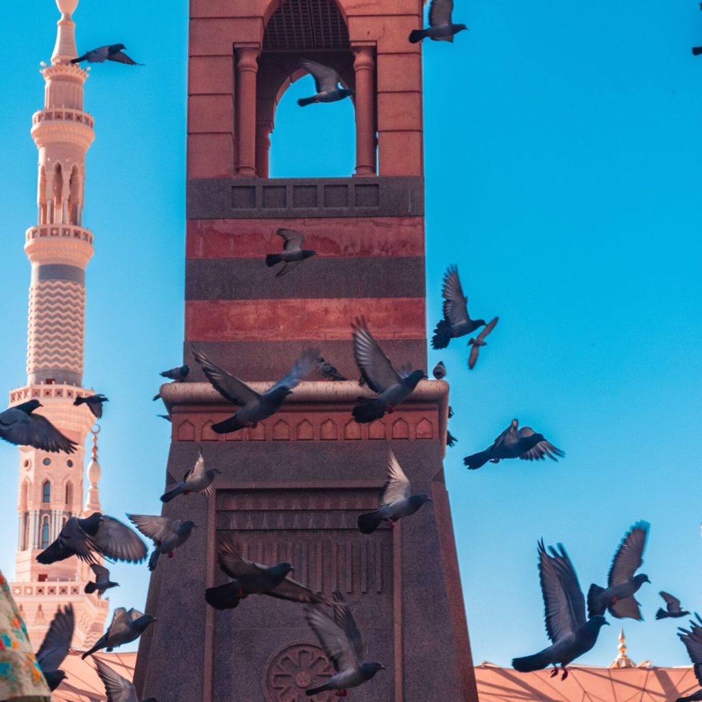 said-alamri-PQP7_7kFCxA-unsplash